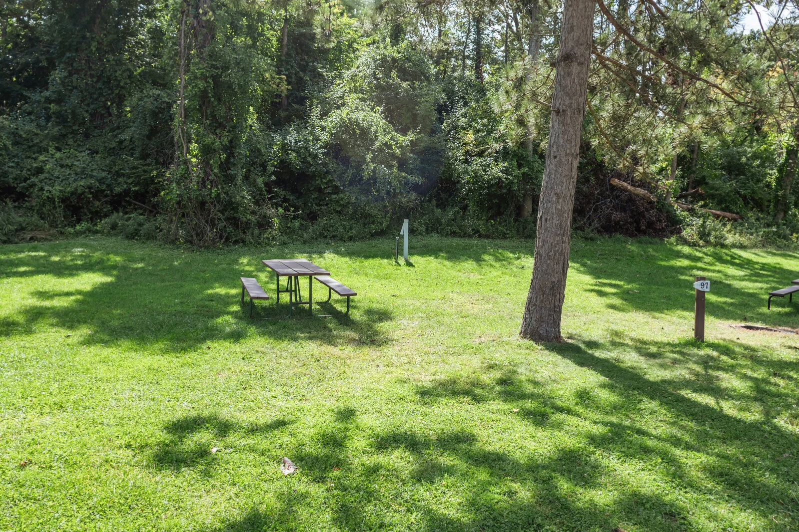  2025/04/Anderson-Camping-Site-97.jpg 