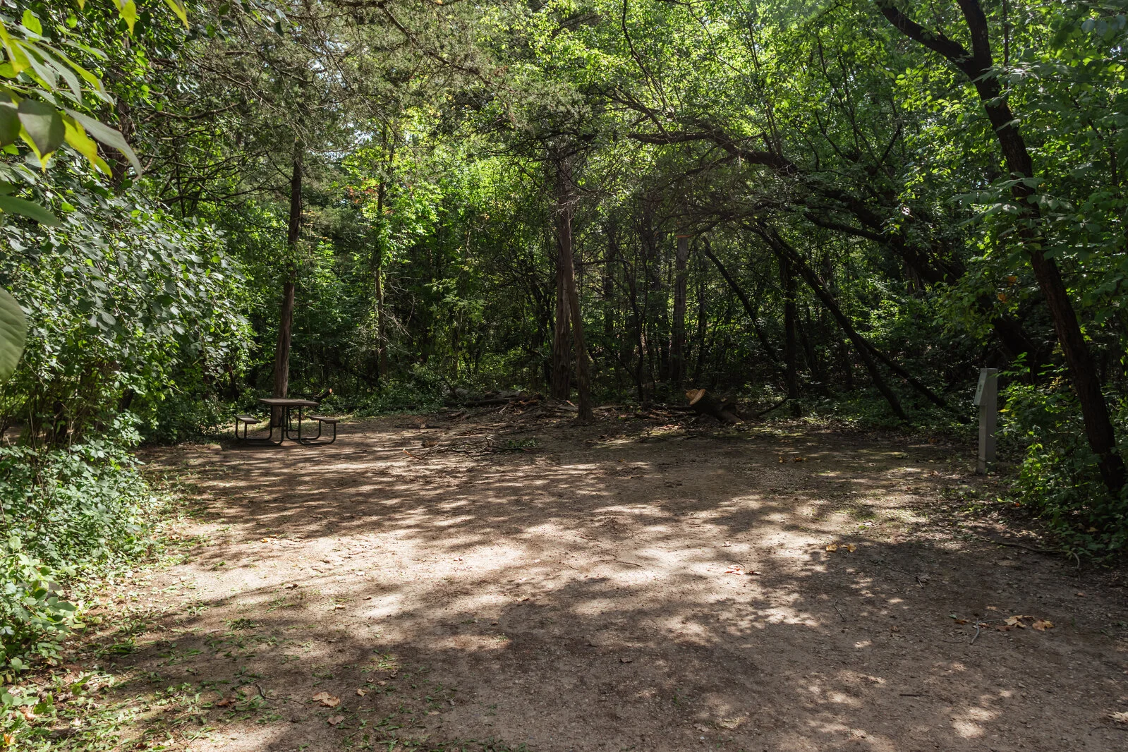  2025/04/Cedar-Grove-Camping-Site-15.jpg 