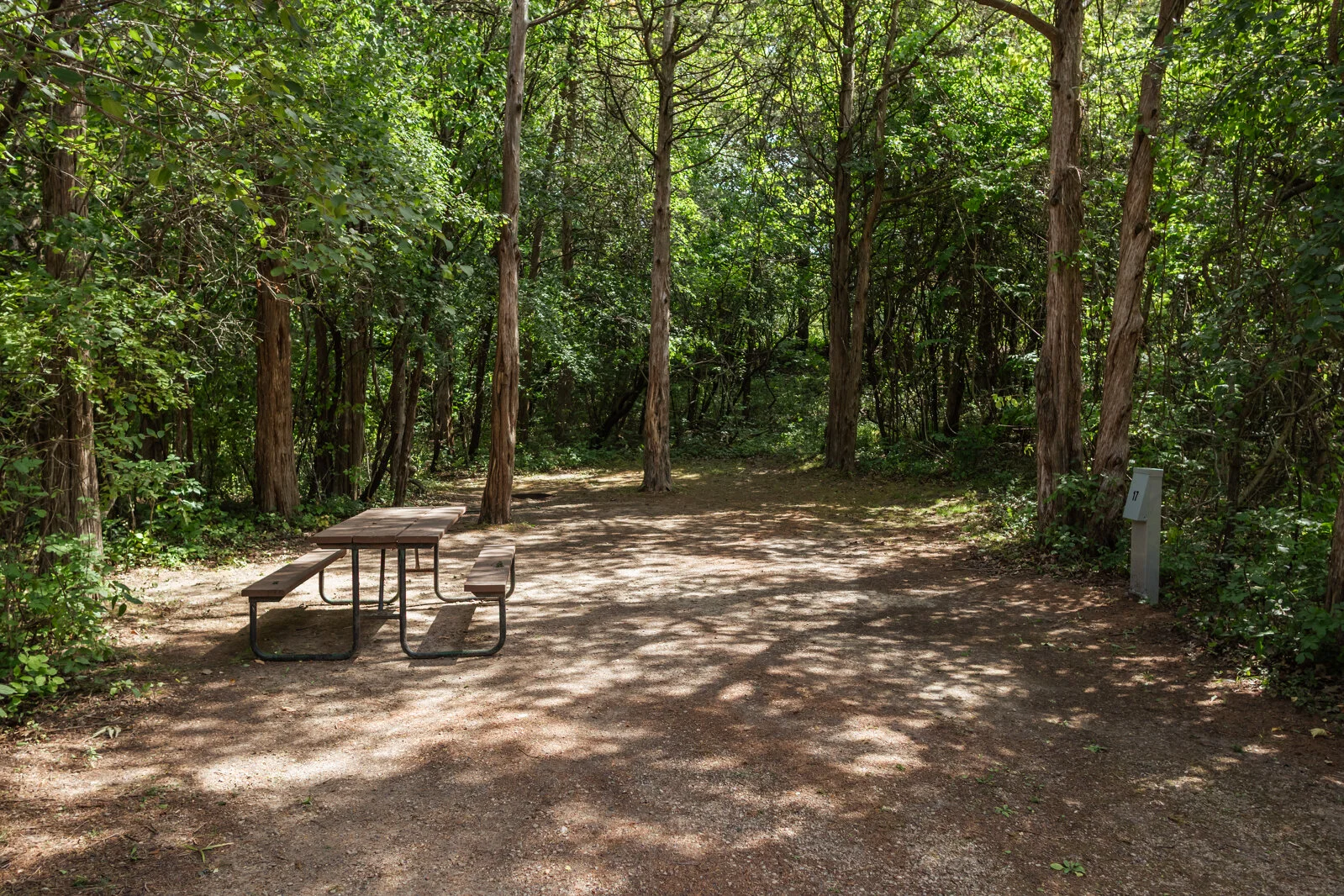  2025/04/Cedar-Grove-Camping-Site-17.jpg 