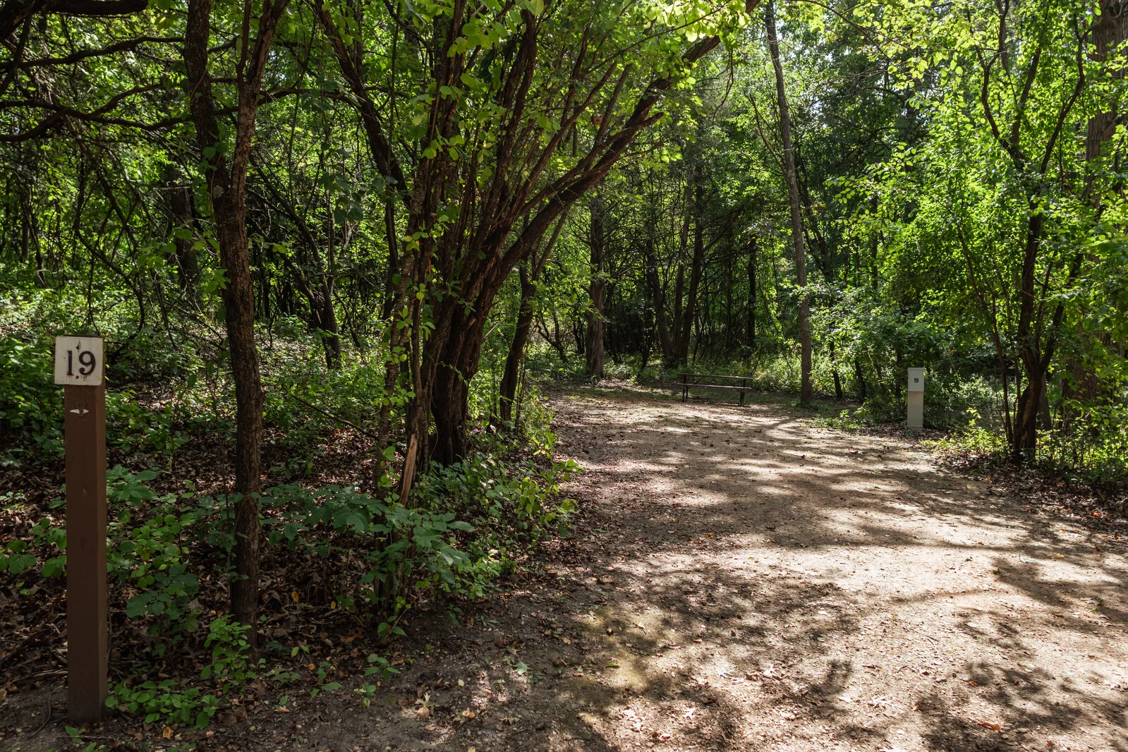  2025/04/Cedar-Grove-Camping-Site-19.jpg 