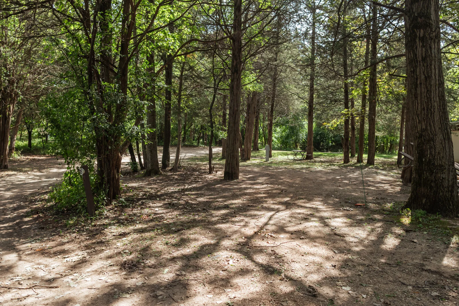  2025/04/Shady-Oak-Camping-Site-25.jpg 
