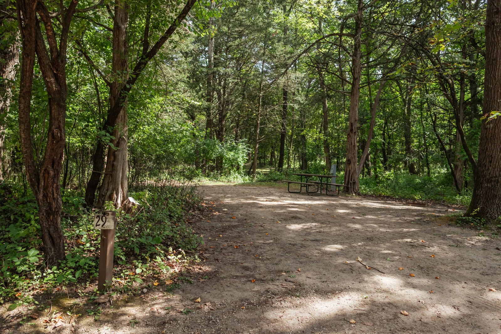  2025/04/Shady-Oak-Camping-Site-29.jpg 