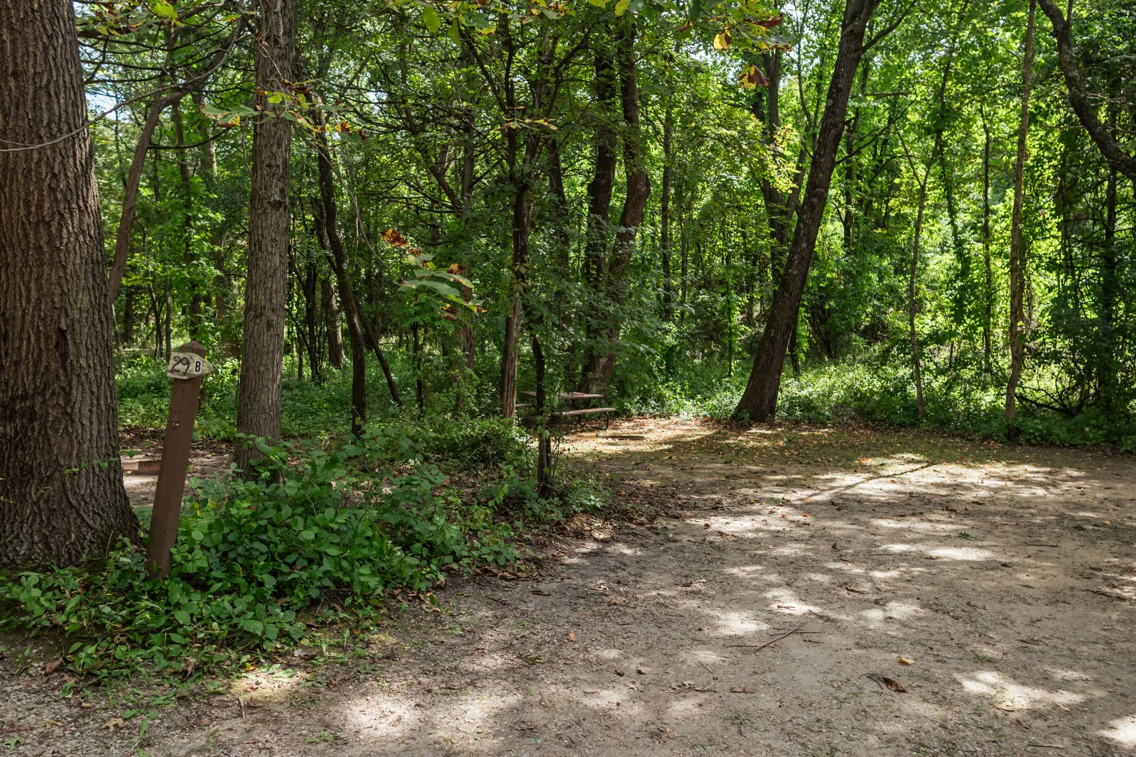  2025/04/Shady-Oak-Camping-Site-29B.jpg 