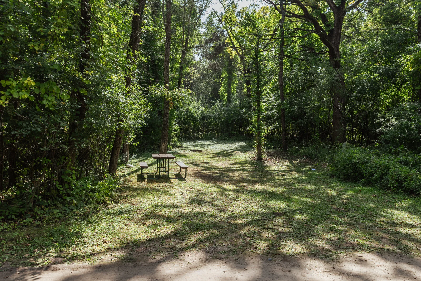  2025/04/Shady-Oak-Camping-Site-31.jpg 