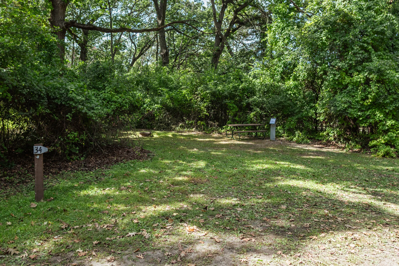  2025/04/Shady-Oak-Camping-Site-34.jpg 