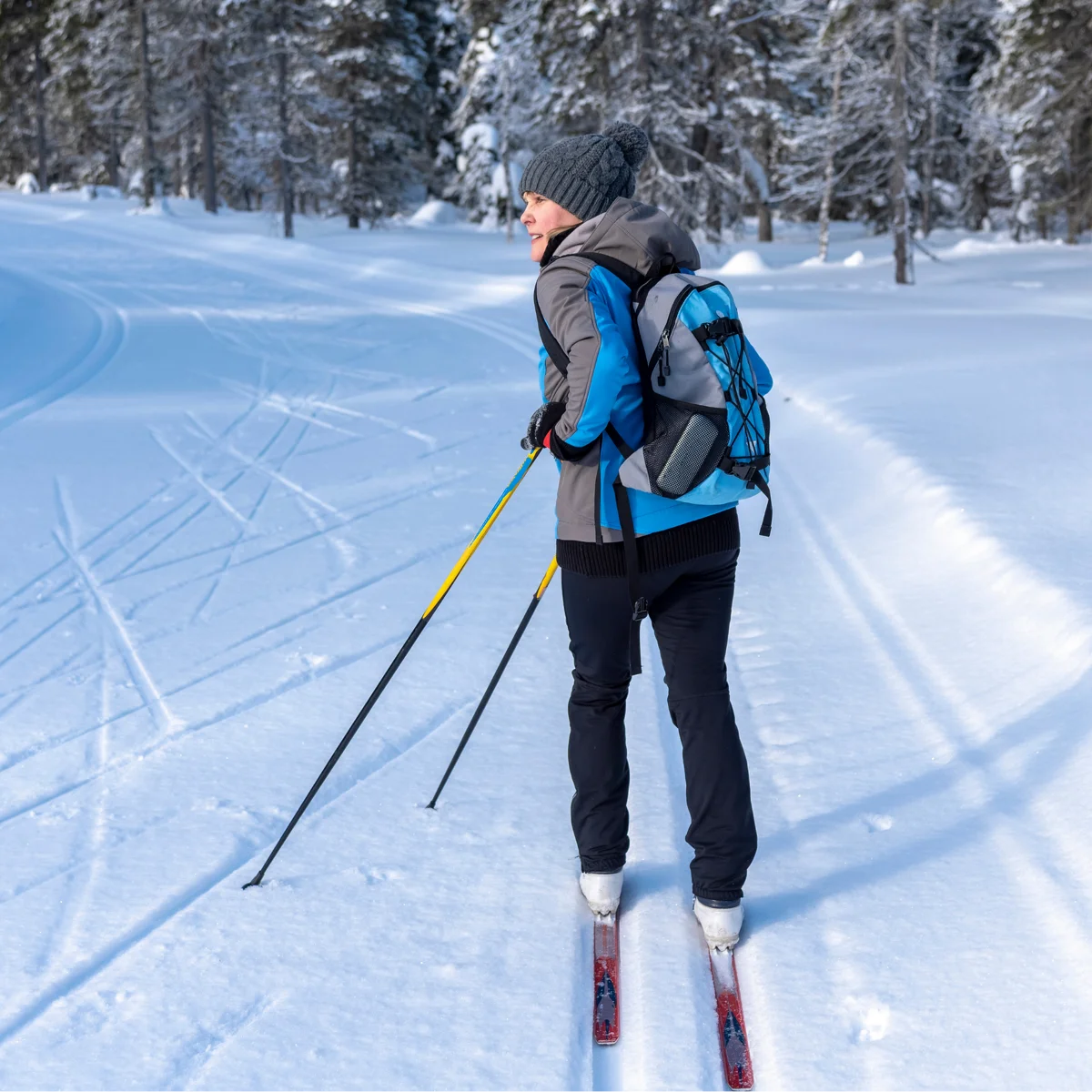  2026/07/cross-country-skiing.png 