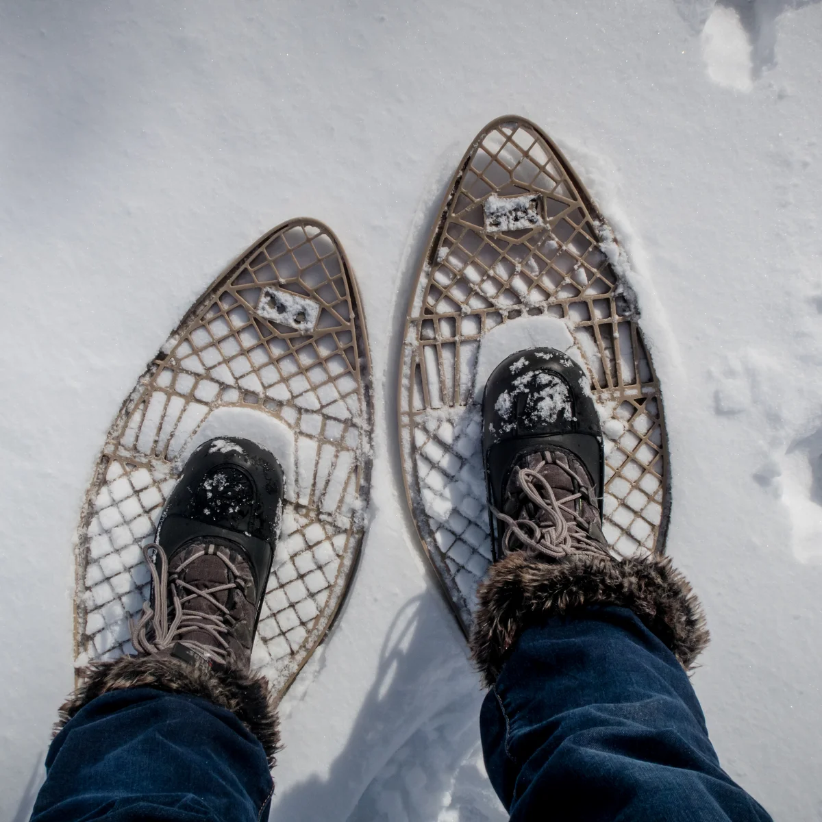  2026/07/snow-shoeing.png 